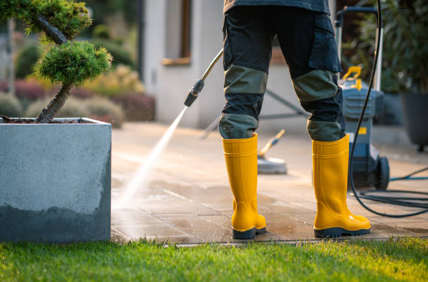 Best Roof Pressure Washing  in Kincheloe, MI